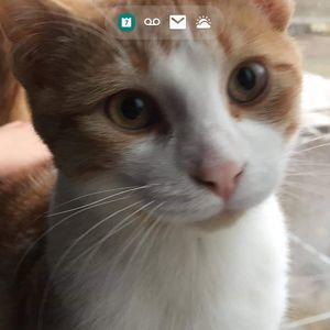 Meet your Posher, Sylvi